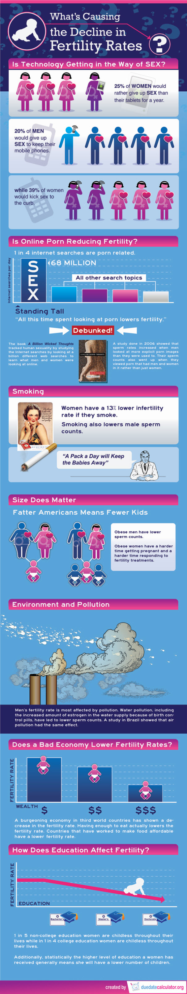 Possible Causes Of The Decline In Fertility Rates Infographic 